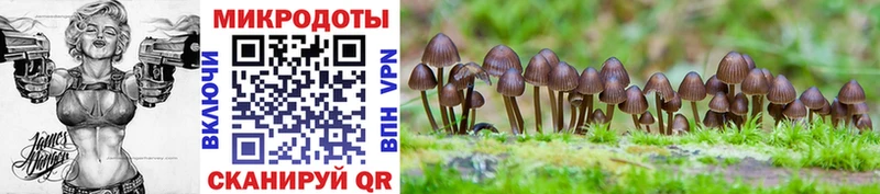 маркетплейс состав  Соль-Илецк  Псилоцибиновые грибы Psilocybe 