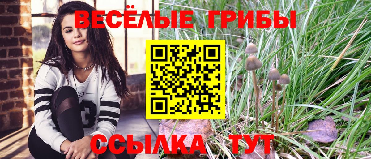 Галлюциногенные грибы Psilocybe  Галлюциногенные грибы MAGIC MUSHROOMS  Соль-Илецк  Вход с VPN 