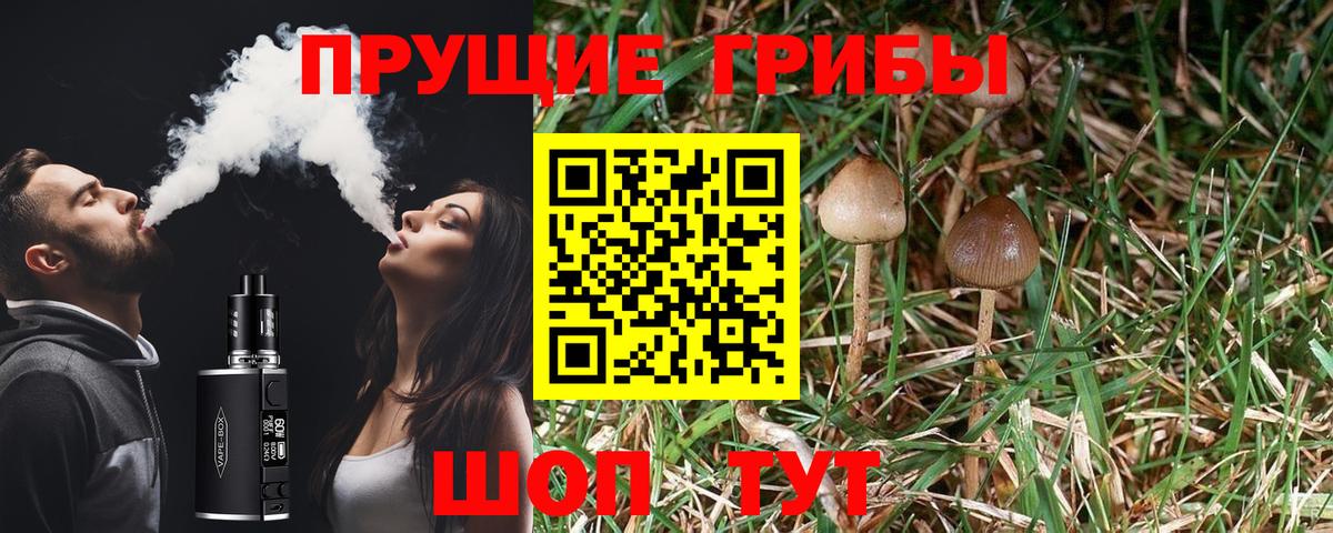 Псилоцибиновые грибы GOLDEN TEACHER Соль-Илецк